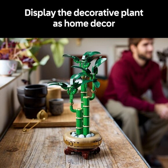 LEGO Botanicals Lucky Bamboo Faux Plant Set 10344  Botanicals Lucky Bamboo Building Set  Artificial Plant for Indoor Home Décor